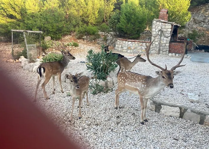 Villa Mali Jardin