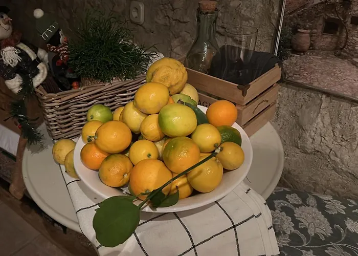 فيلة Mali Jardin *